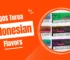 Terea Indonesia Flavors