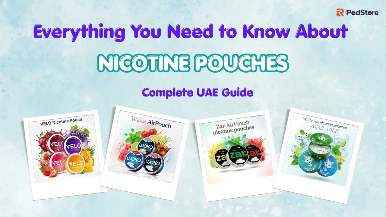 nicotine pouch guide