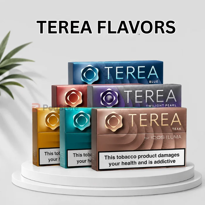 Complete Guide to TEREA for IQOS ILUMA 2 IQOS Terea Flavors (2)