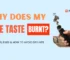 Why Does My Vape Taste Burnt