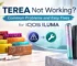 TEREA Not Working Common Problems and Easy Fixes for IQOS ILUMA